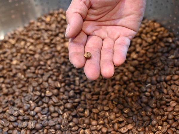 義式咖啡豆