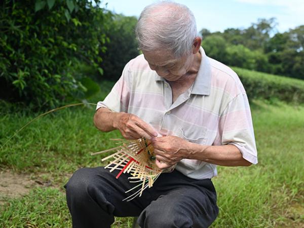 茶簍