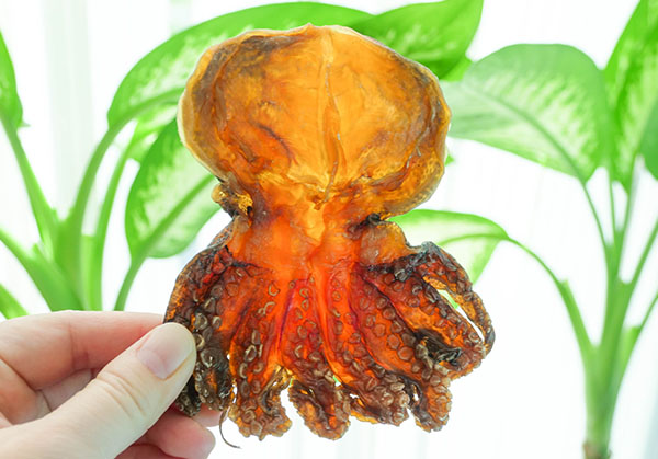 石巨乾(章魚乾)